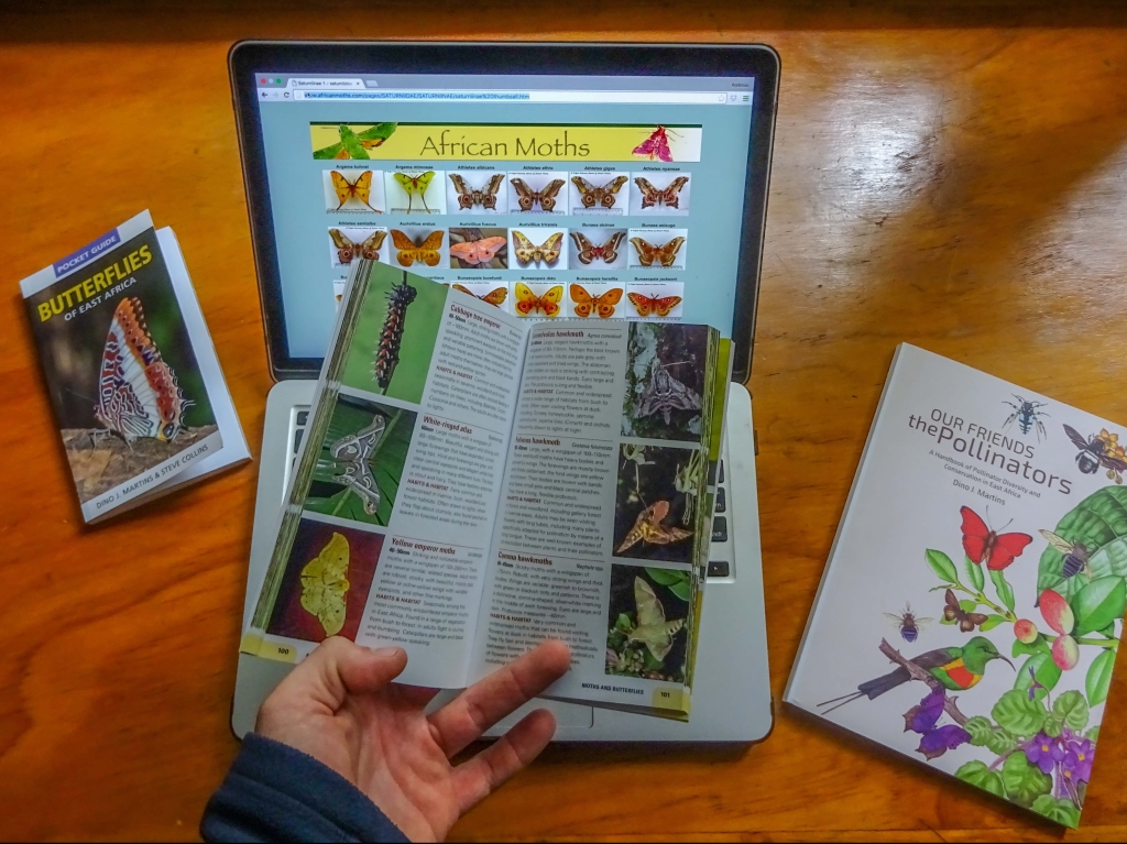 Pocket Guides to Birds, Butterflies, Insects and Snakes