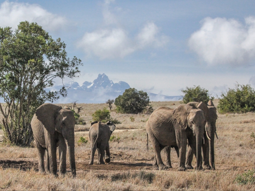 A Guide to Kenya’s Wildernesses